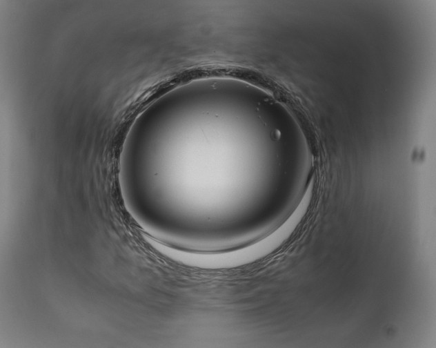 X0000112051157200908041144