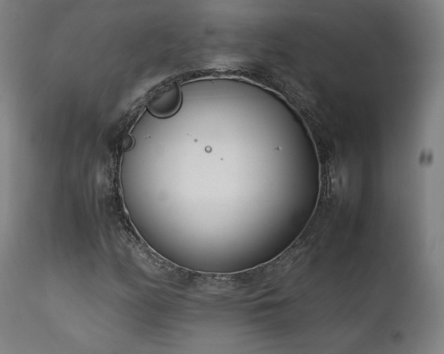 X0000112051158200908041144