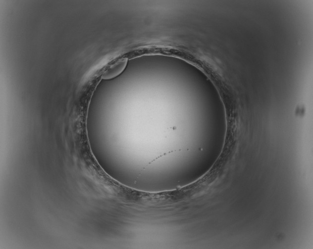 X0000112051159200908041144