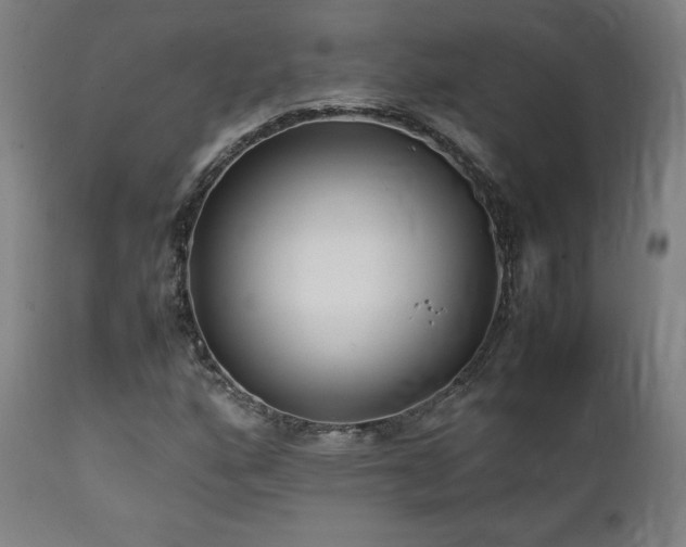 X0000112051160200908041144