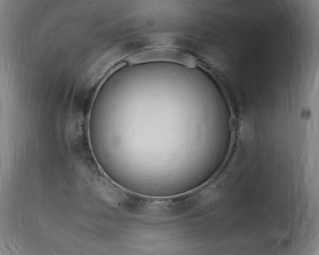 X0000112051161200908041144