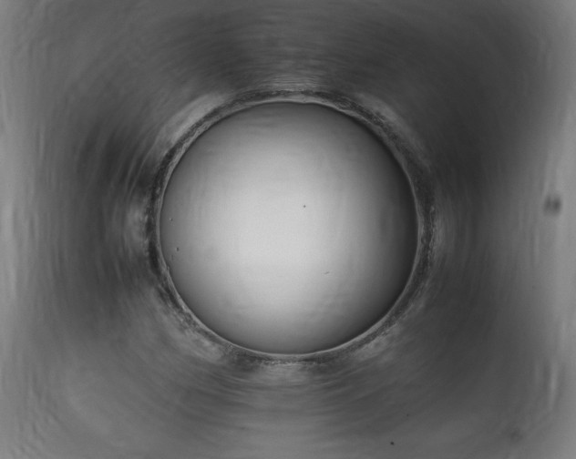 X0000112051162200908041143