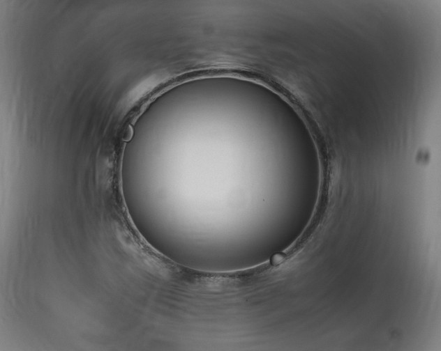 X0000112051163200908041143