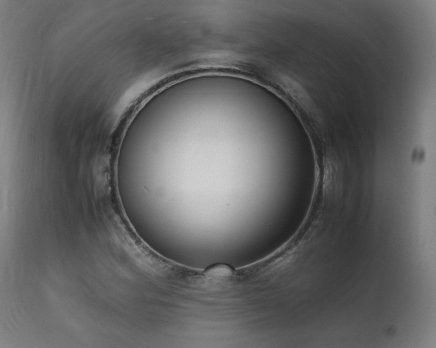 X0000112051164200908041143