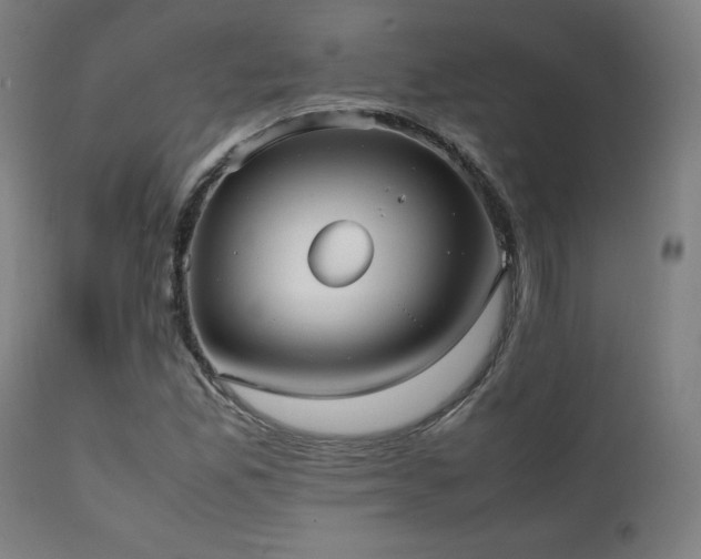 X0000112051165200908041143