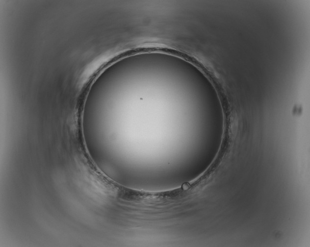 X0000112051167200908041143