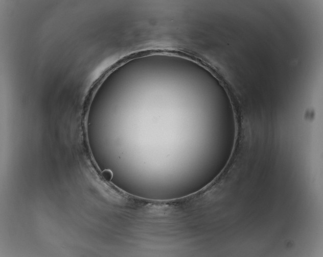 X0000112051168200908041143
