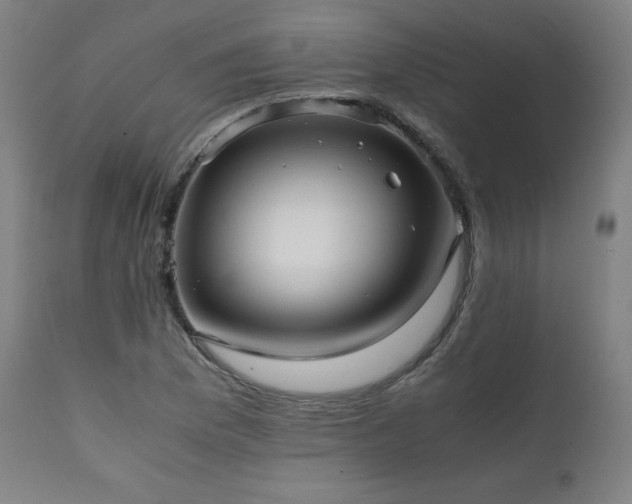 X0000112051169200908041143