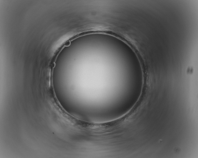X0000112051171200908041143