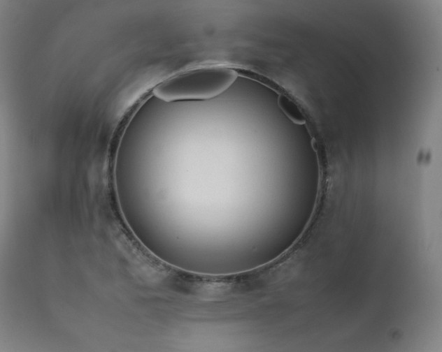 X0000112051173200908041143