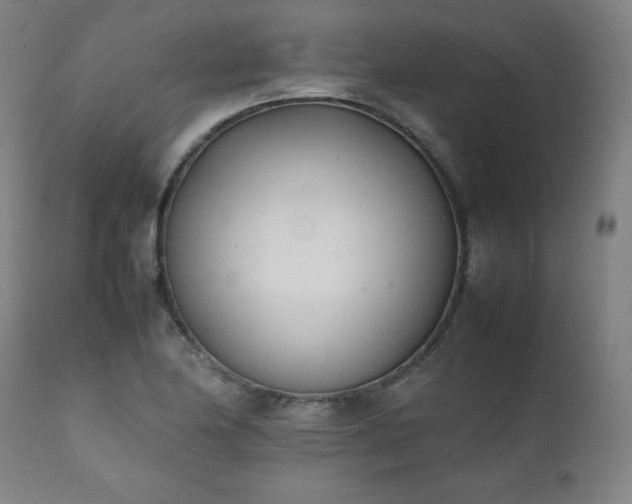 X0000112051174200908041143
