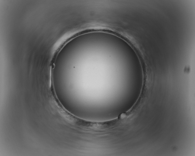 X0000112051175200908041143