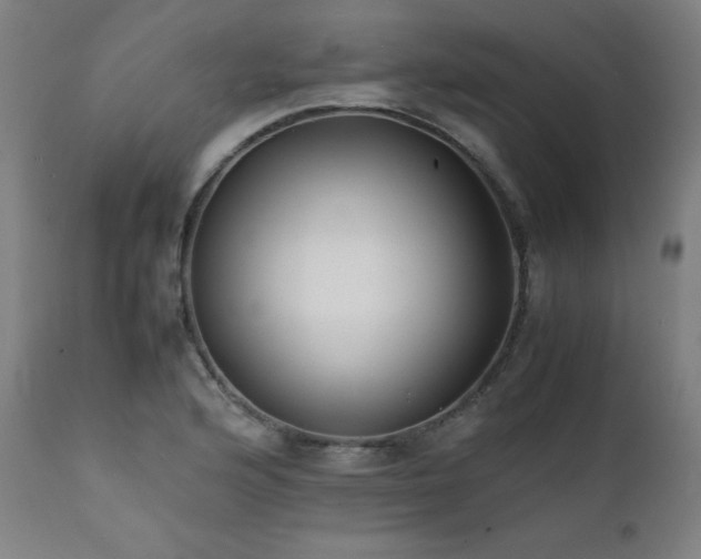X0000112051176200908041143