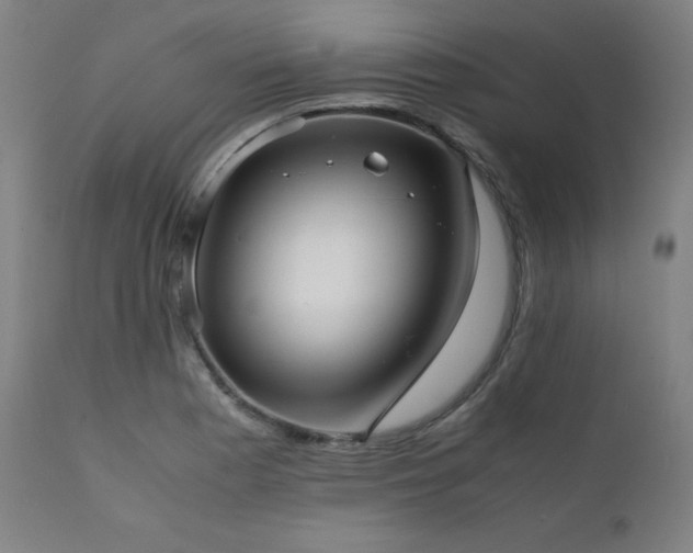 X0000112051177200908041143