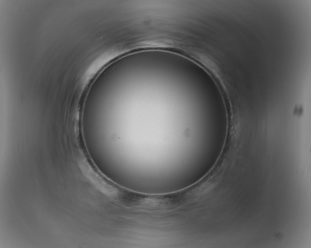 X0000112051179200908041143
