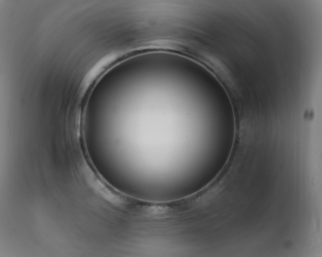X0000112051180200908041143