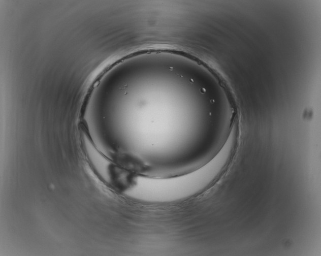 X0000112051181200908041143