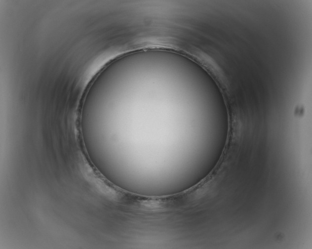 X0000112051182200908041143
