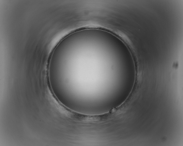 X0000112051183200908041143