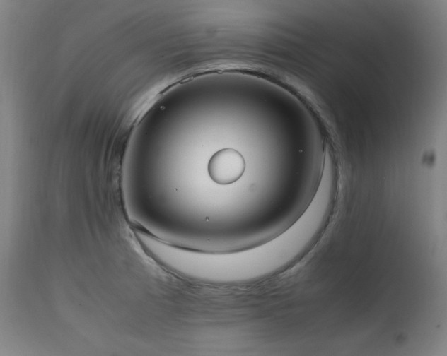 X0000112051185200908041143