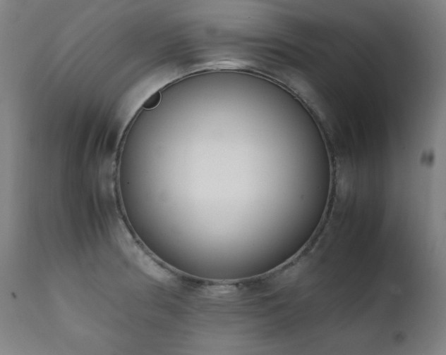 X0000112051186200908041143