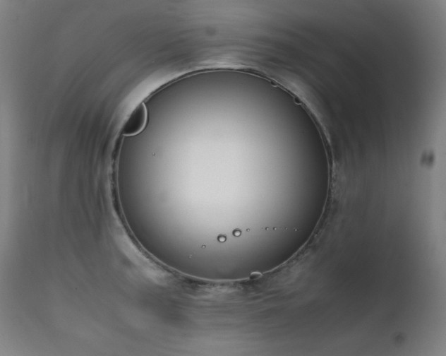 X0000112051187200908041143