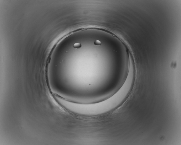X0000112051189200908041143
