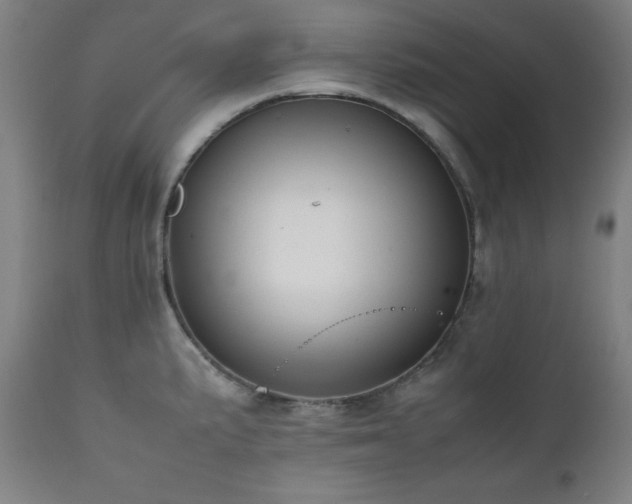 X0000112051191200908041143