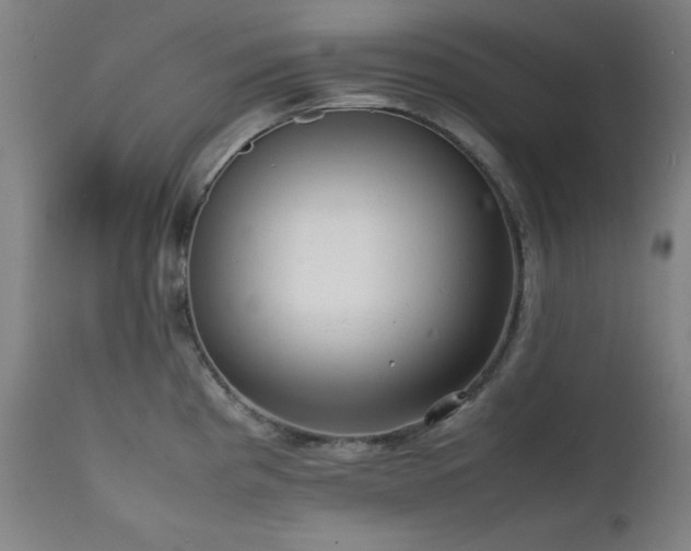 X0000112051193200908041143