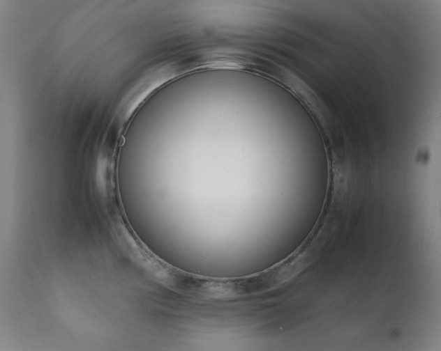 X0000112051194200908041143