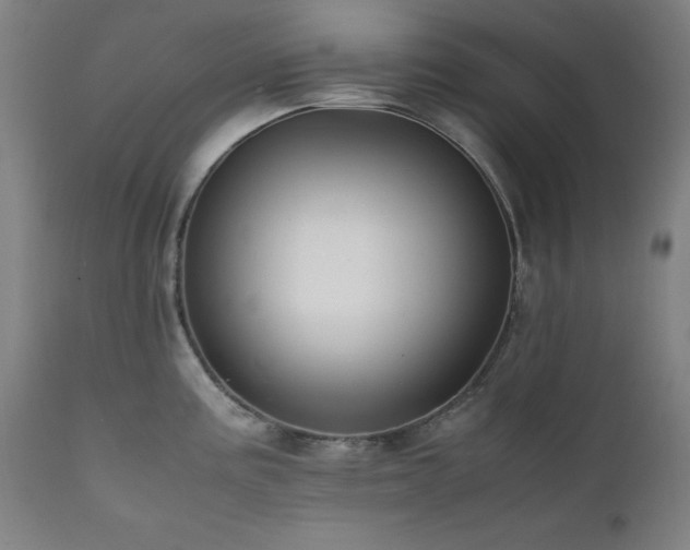 X0000112051195200908041143