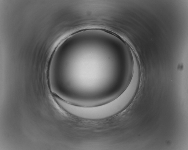 X0000112051197200908041143