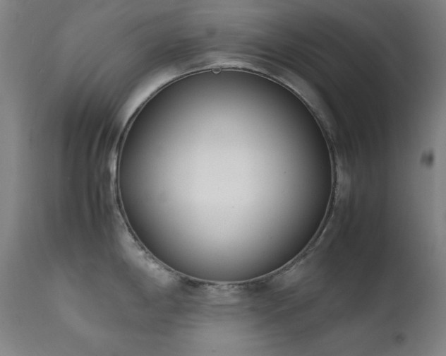 X0000112051198200908041143