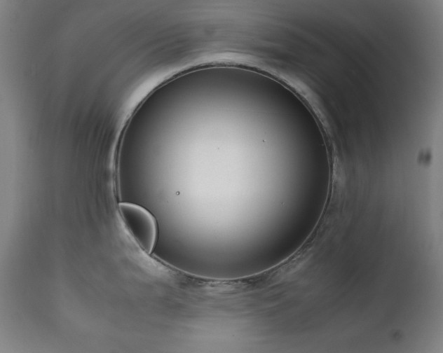 X0000112051199200908041143