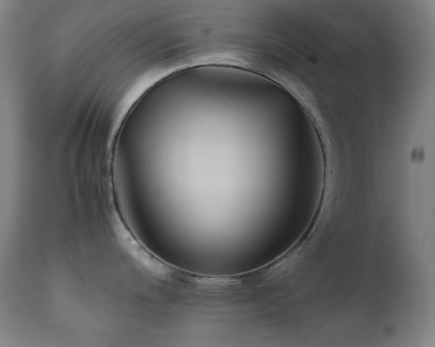 X0000112051200200908041143