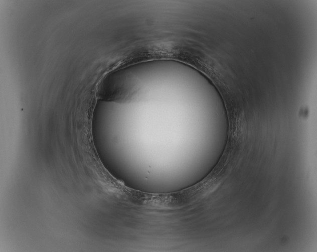 X0000112051201200908041142
