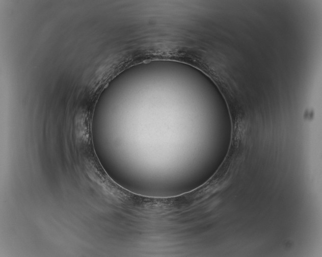X0000112051202200908041142