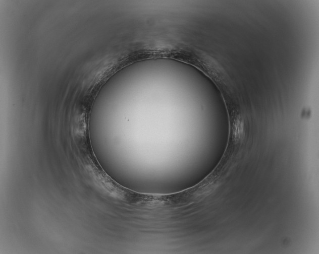 X0000112051204200908041142