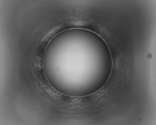 X0000112051205200908041142