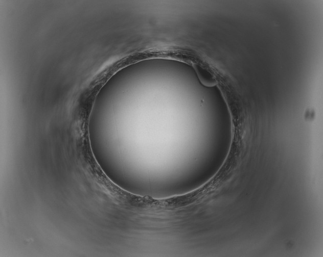 X0000112051206200908041142