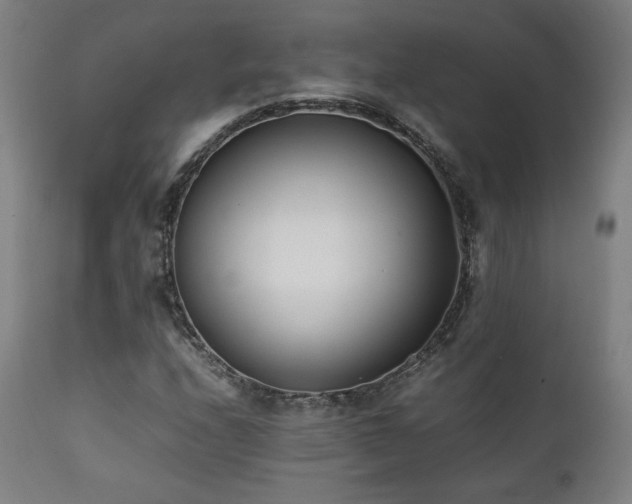 X0000112051208200908041142
