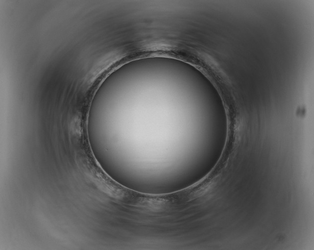 X0000112051209200908041142