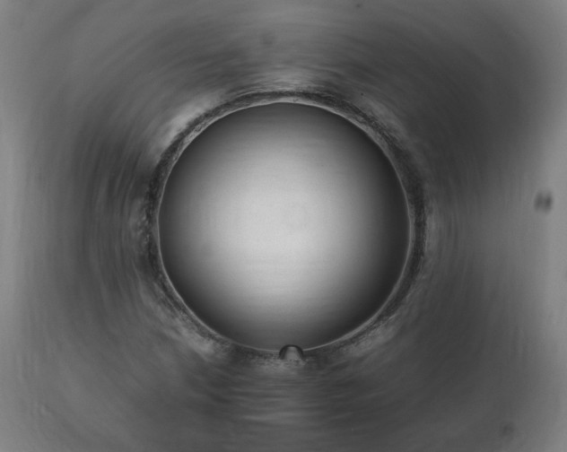 X0000112051210200908041142