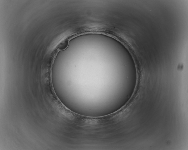 X0000112051211200908041142