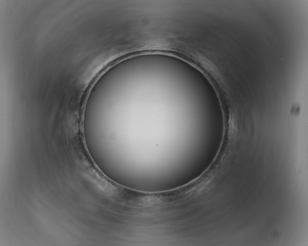 X0000112051212200908041142