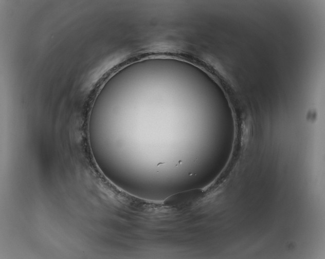 X0000112051213200908041142