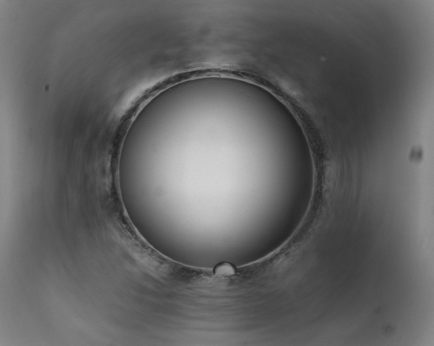 X0000112051214200908041142