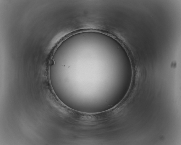 X0000112051215200908041142