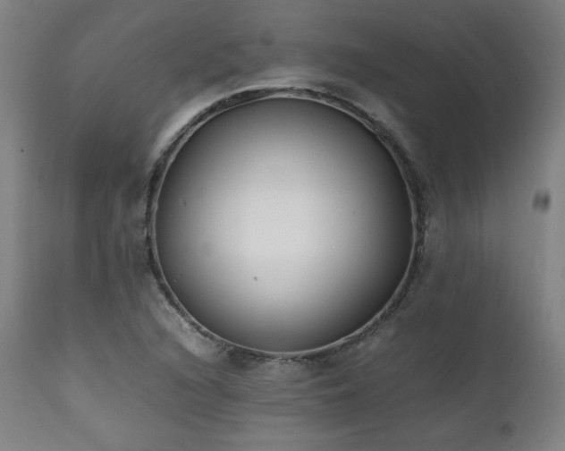 X0000112051216200908041143