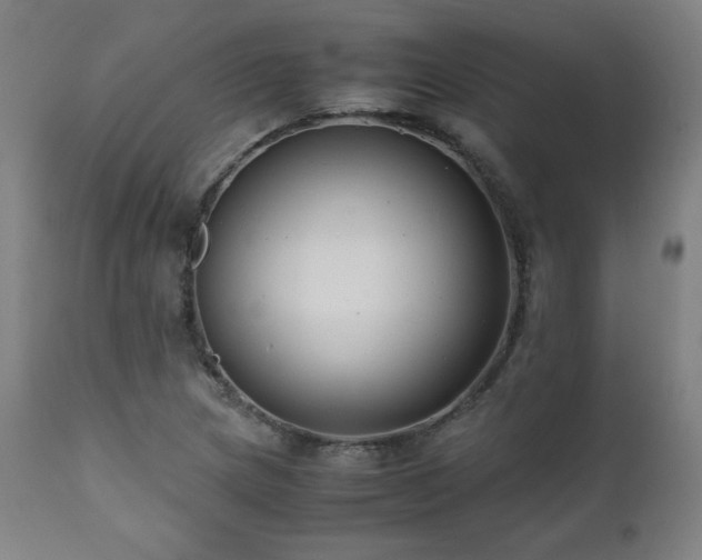 X0000112051217200908041143